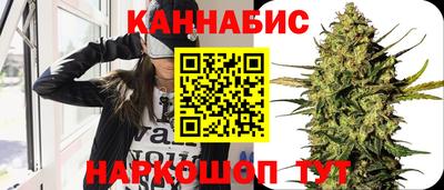 индика Обь