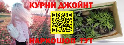 индика Обь