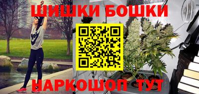 индика Обь