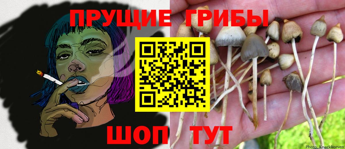Галлюциногенные грибы MAGIC MUSHROOMS  Вход с VPN  Белорецк 