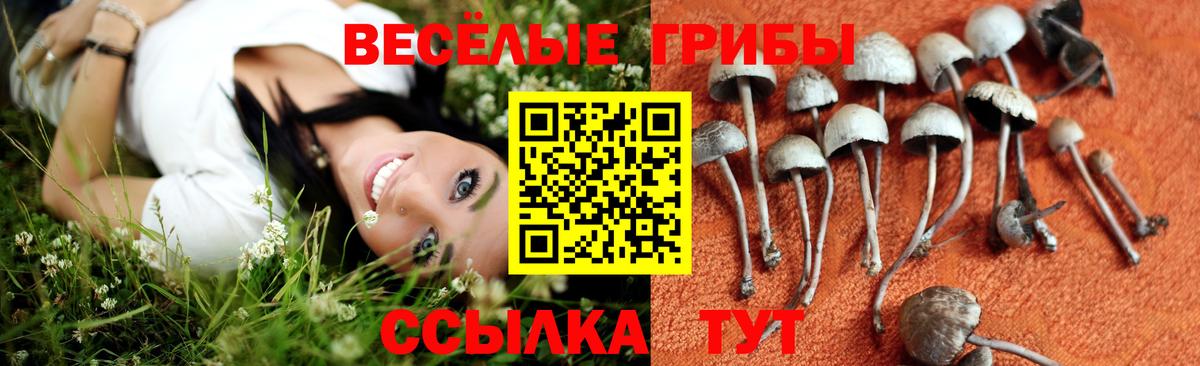 Галлюциногенные грибы Cubensis Белорецк